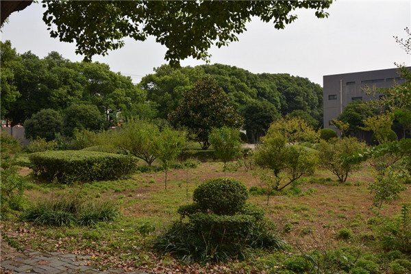 公司巡礼