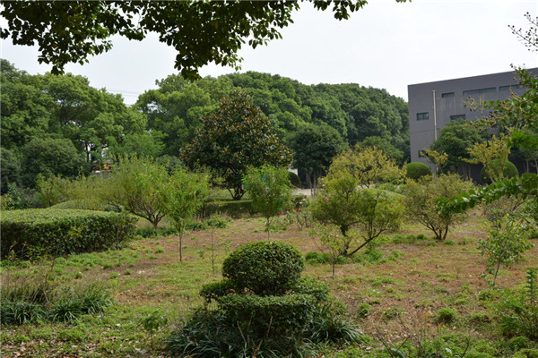 公司巡礼
